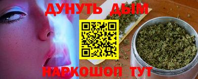 стаф Вязьма