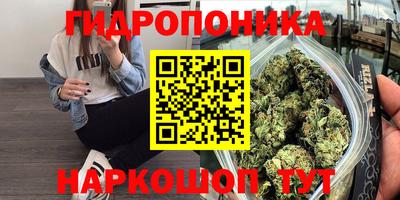 стаф Вязьма
