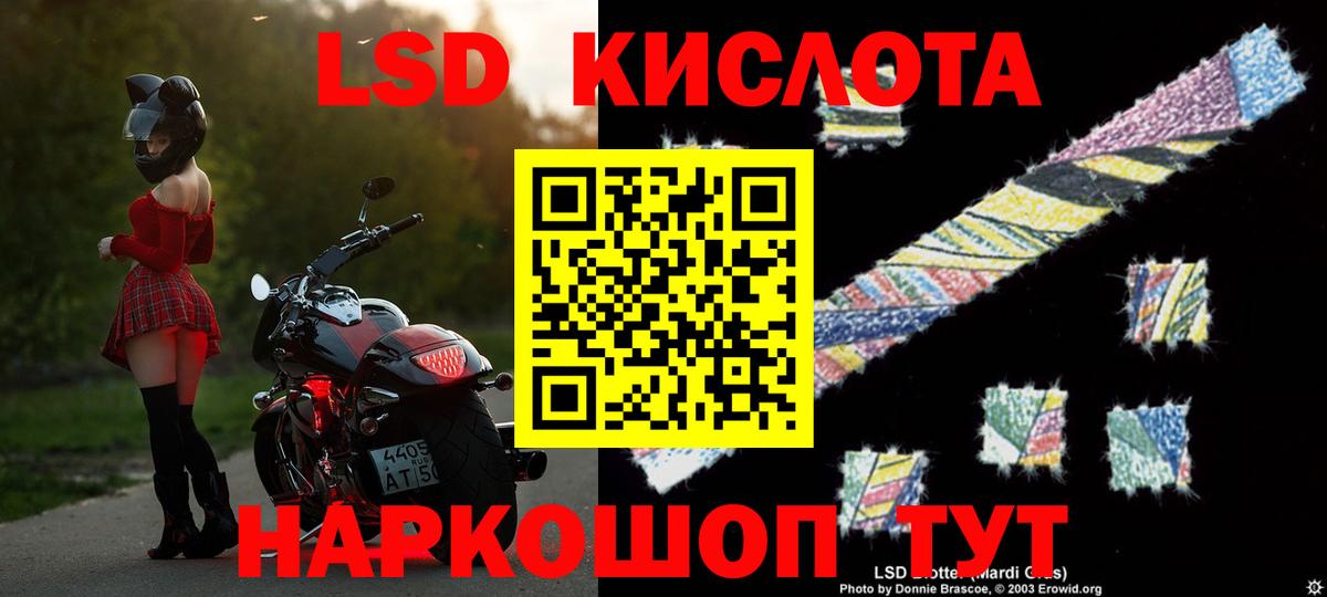 ЛСД экстази ecstasy  OMG ССЫЛКА  Бердск  Лсд 25 экстази ecstasy  Вход с VPN 