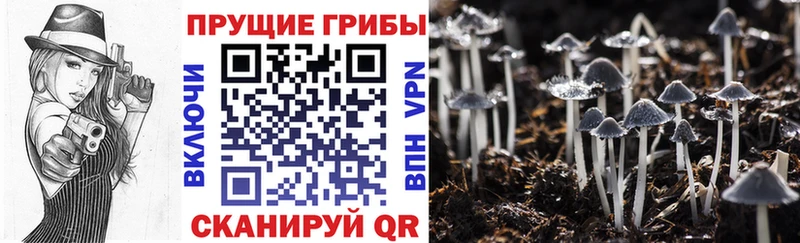 как найти закладки  мориарти состав  Галлюциногенные грибы мухоморы  Бердск 