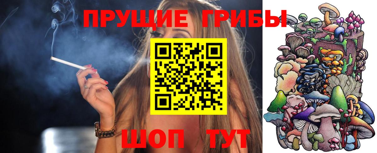 даркнет сайт  Вход с VPN  Галлюциногенные грибы MAGIC MUSHROOMS  Бердск  Галлюциногенные грибы Psilocybe 