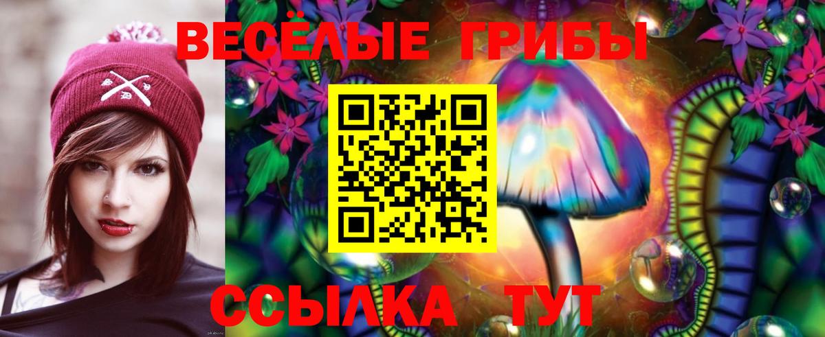 Галлюциногенные грибы Psilocybe Бердск